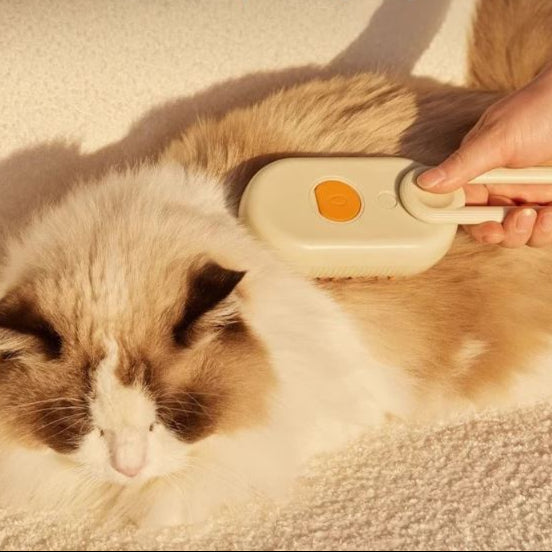 Cepillo de vapor 3 en 1 para gatos